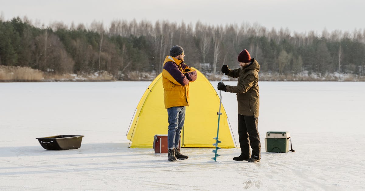 10 Health Benefits of Eating Frozen Fish Fillets