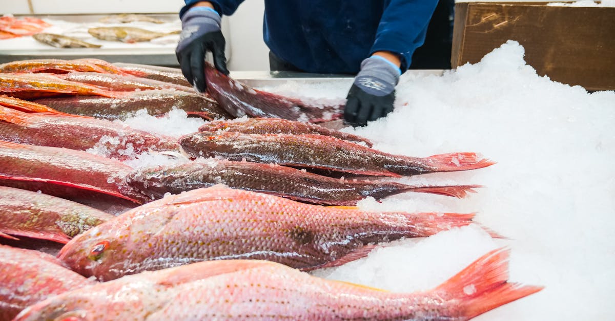 How to Choose the Best Breaded Fish Fillets
