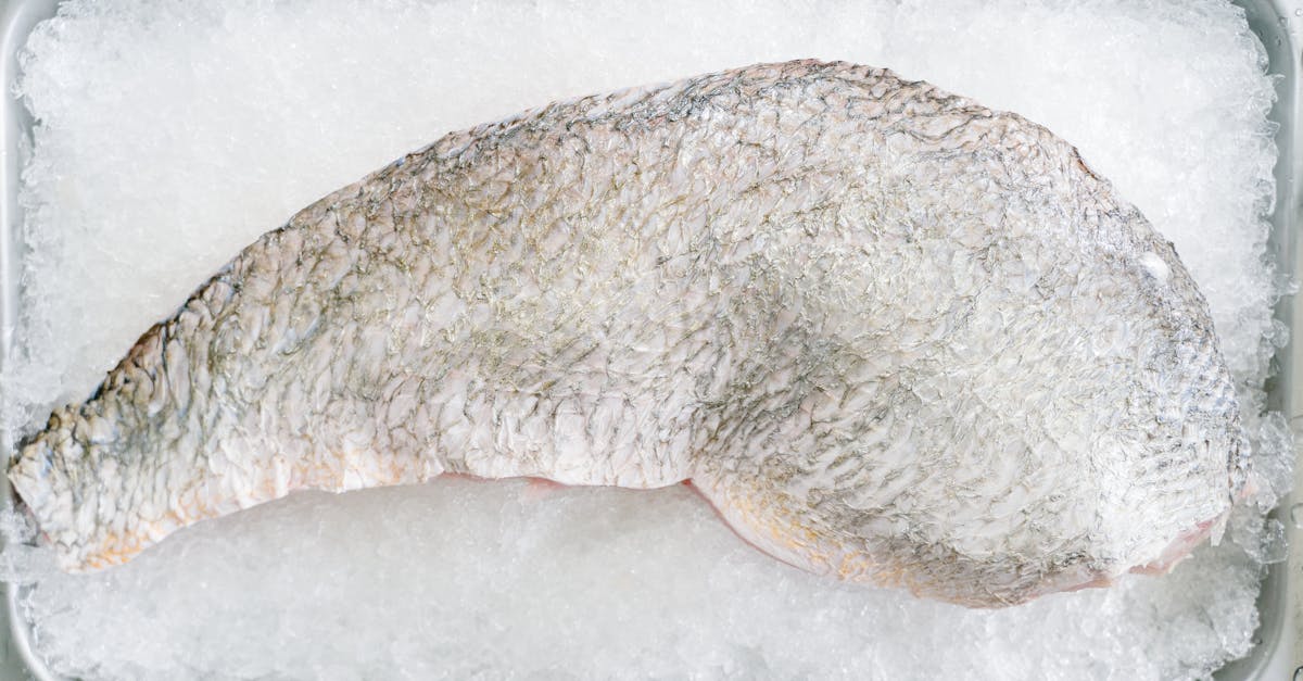 How to Choose the Best Frozen Fish Fillets