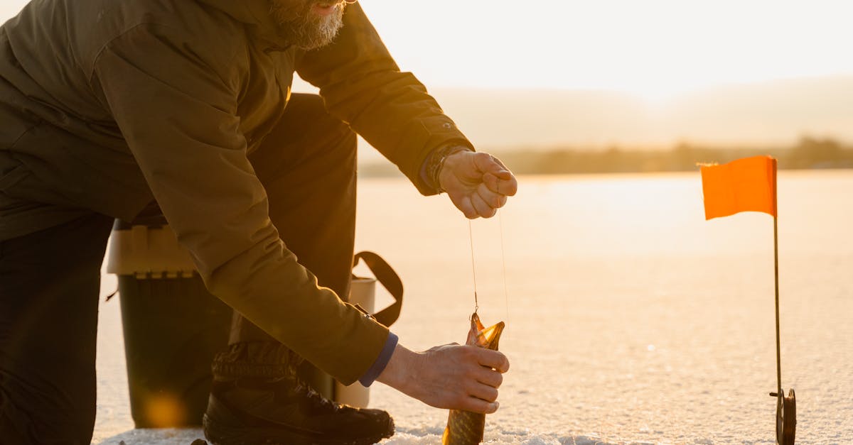 How to Grill Frozen Fish Fillets Without Drying Them Out