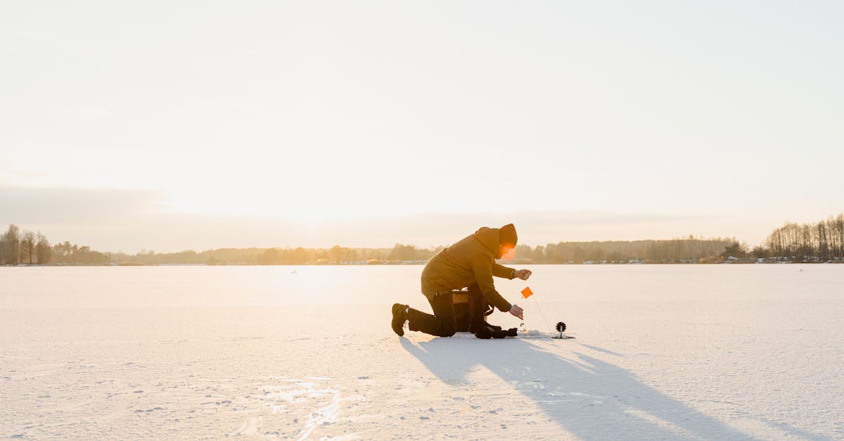 Roundup of the Top Cooking Methods for Frozen Fish Fillets