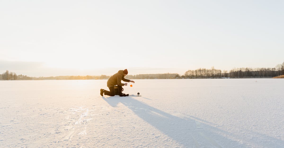 The history of frozen fish fillets