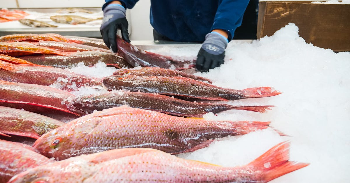 The History of Frozen Fish Fillets and Their Nutritional Evolution