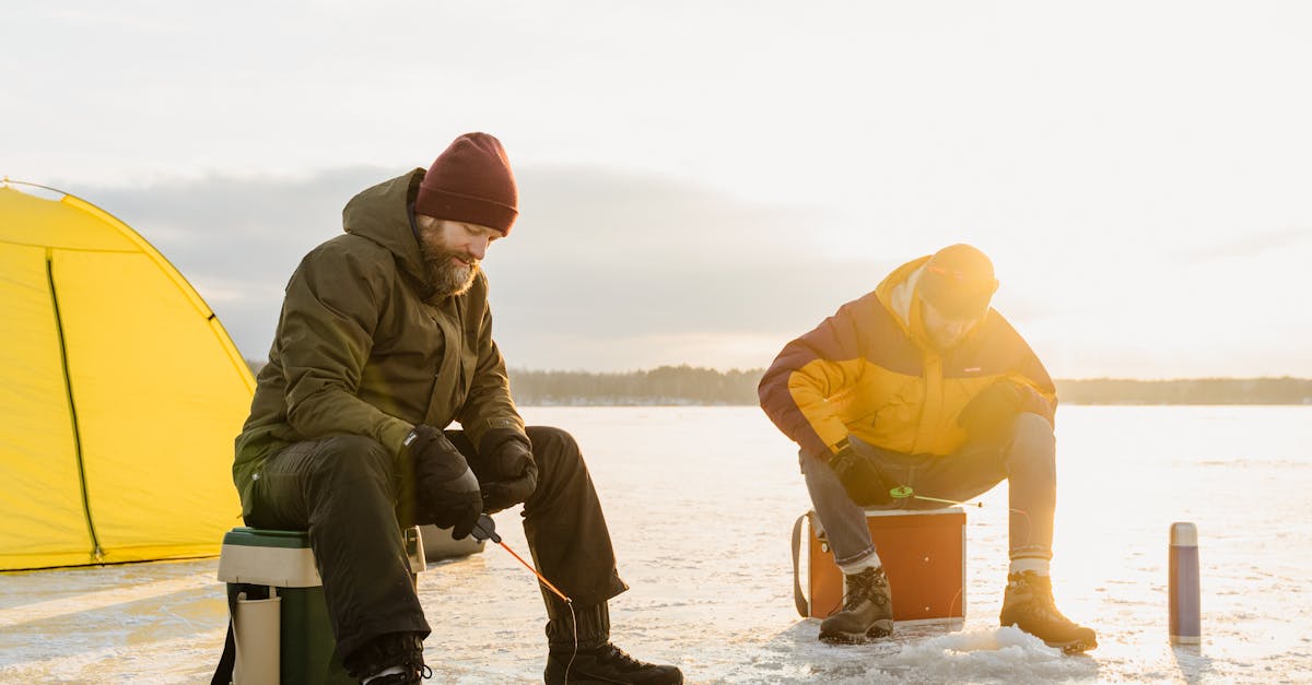 The History of Grilling Frozen Fish Fillets