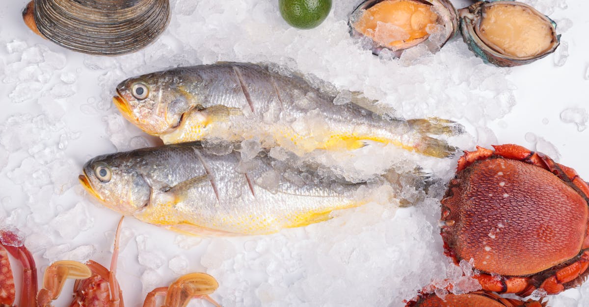 What to Know About Steaming Frozen Fish Fillets