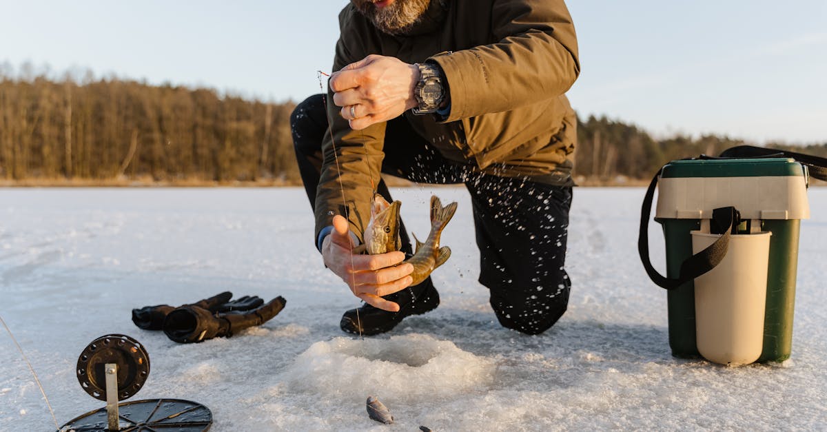 Why frozen fish fillets are a healthy choice